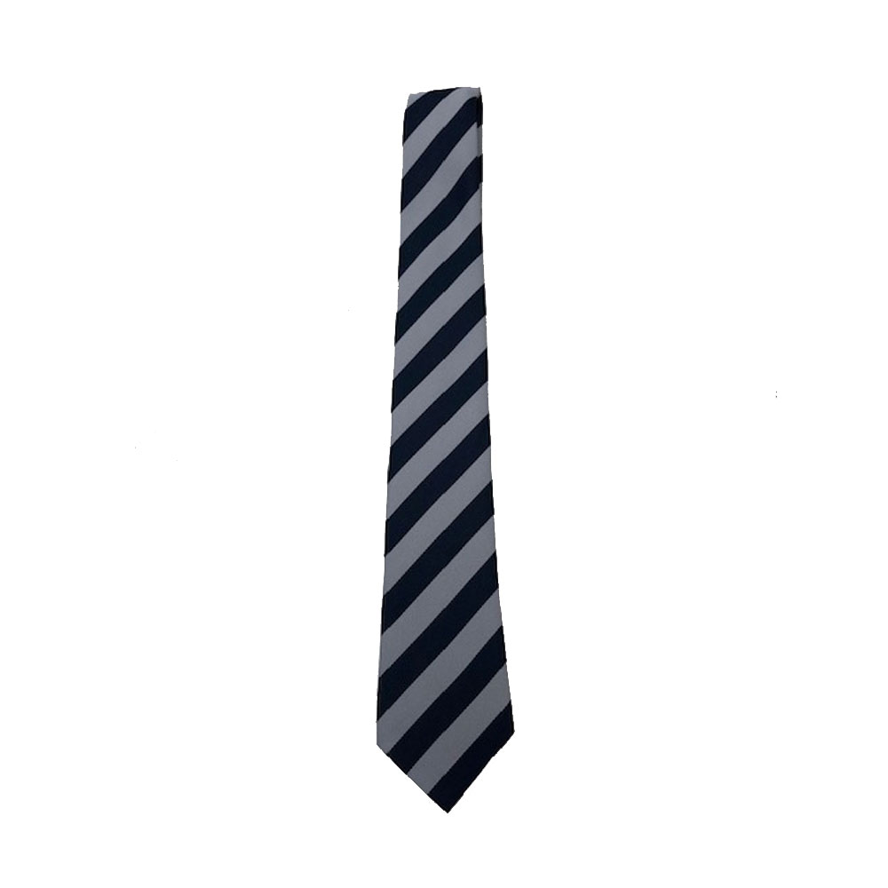 Birley Academy | Tie | Pinders
